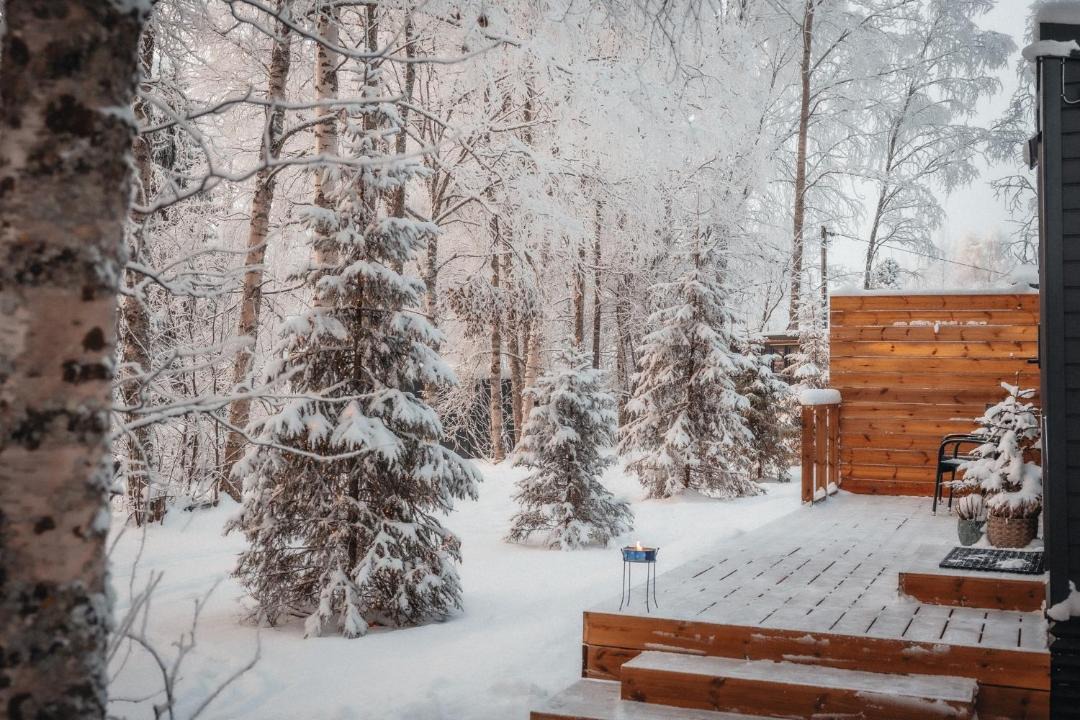 Photo of Others in Rovaniemi