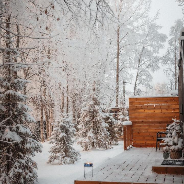 Photo of Others in Rovaniemi