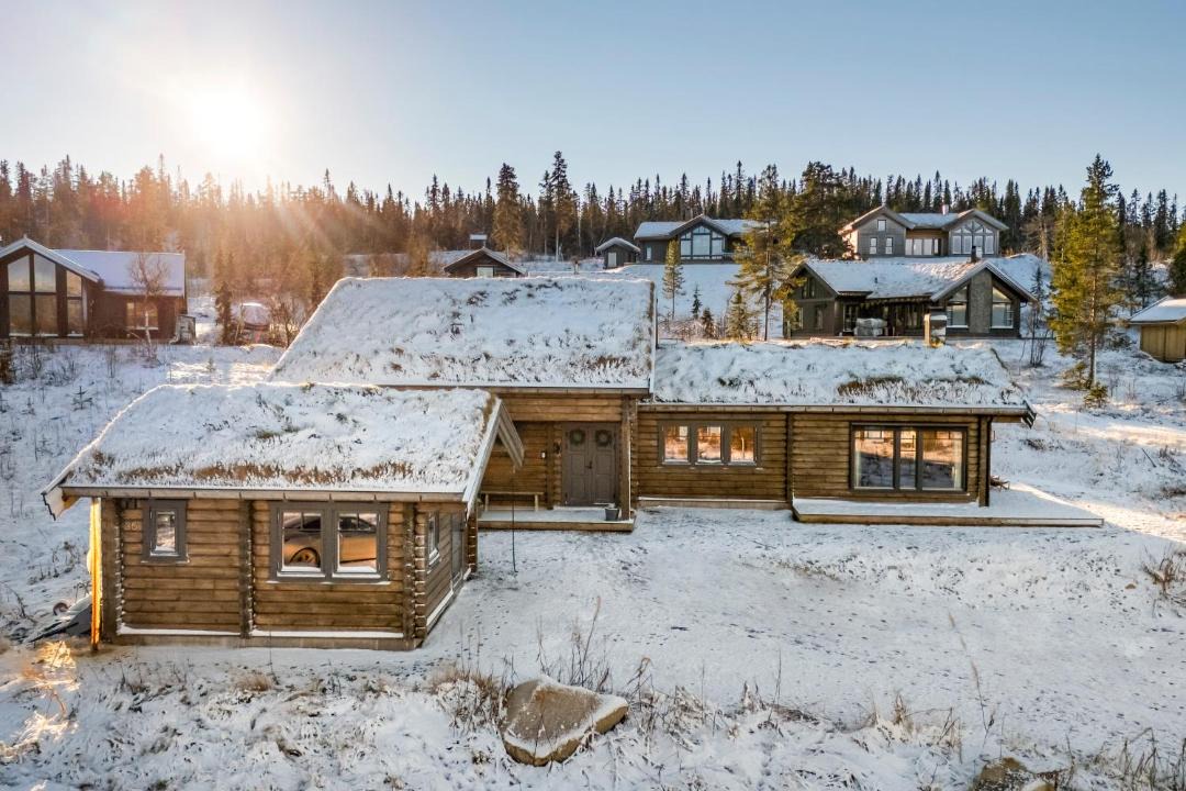 Photo of Others in Grondalen