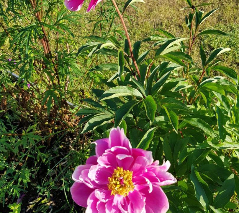 Photo of Outdoor in Pajala