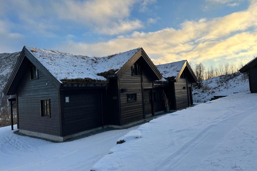 Photo of Others in Myrkdalen