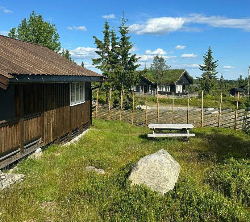 Photo of Others in Ringsaker