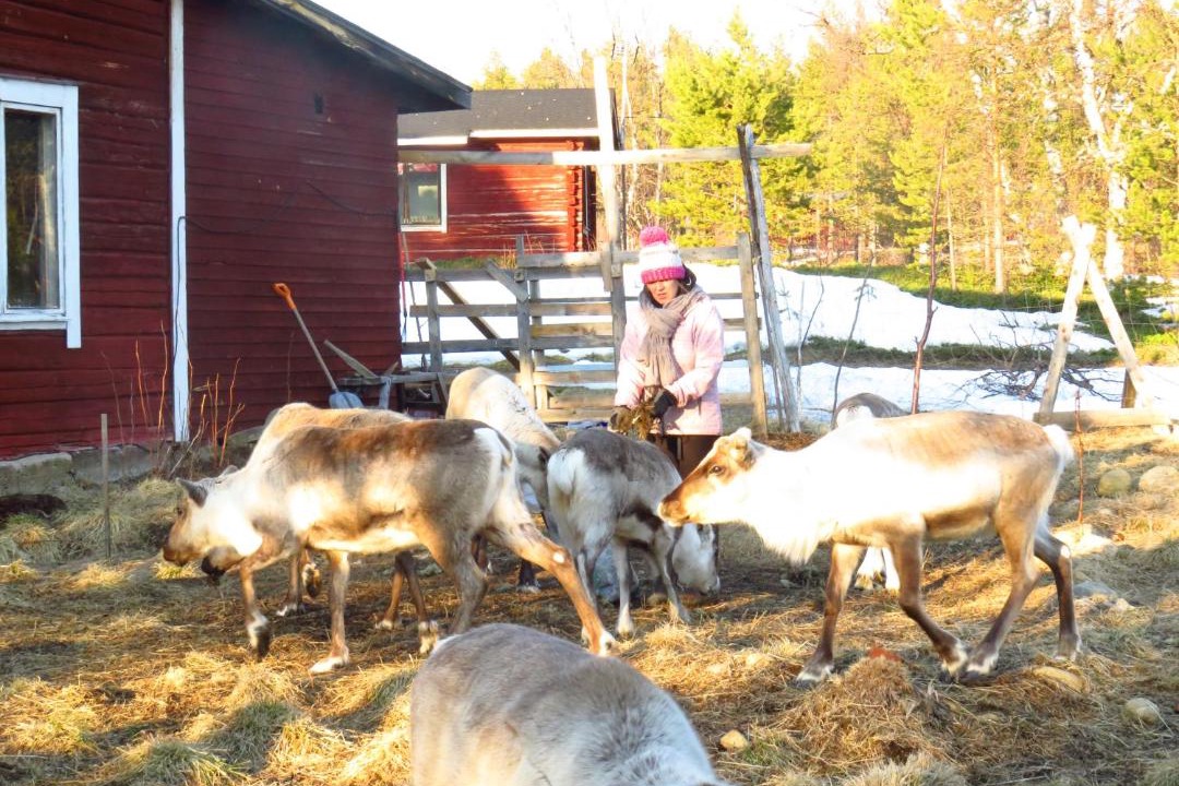 Photo of Others in Inari