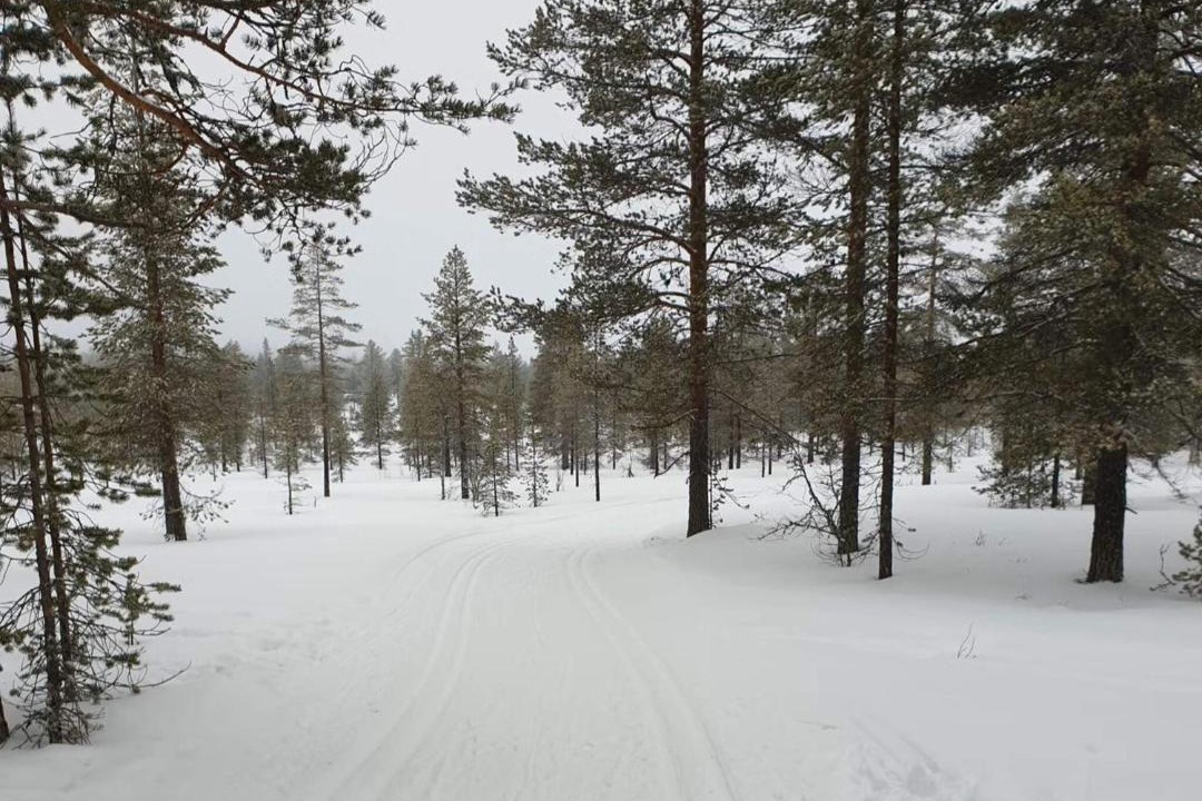 Photo of Others in Trysil
