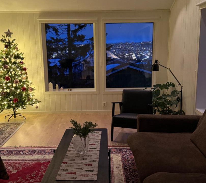 Photo of Livingroom in Tromsdalen