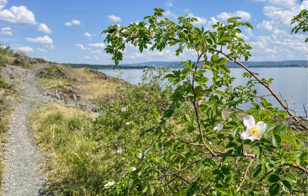 Photo of Others in Fornebu