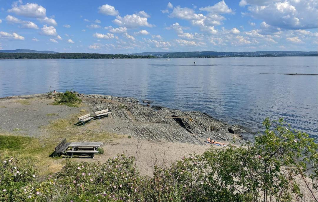 Photo of Others in Fornebu
