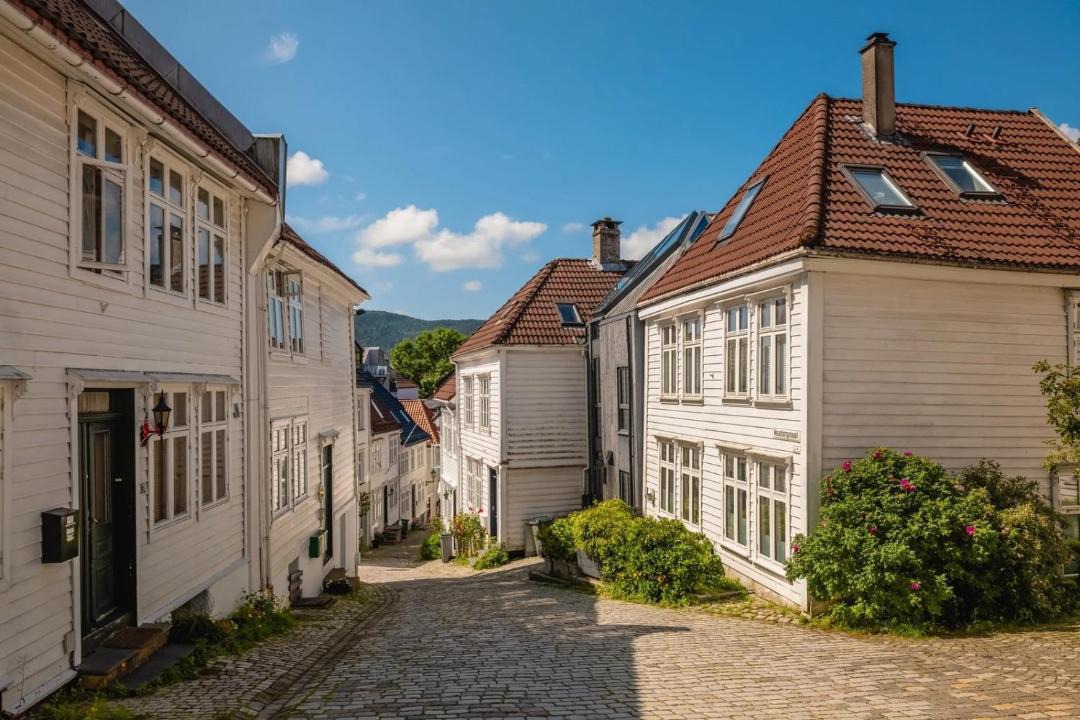 Photo of Others in Bergen City Centre