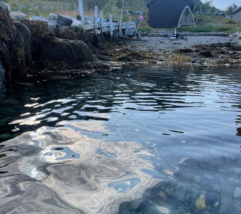 Photo of Others in Sørstraumen