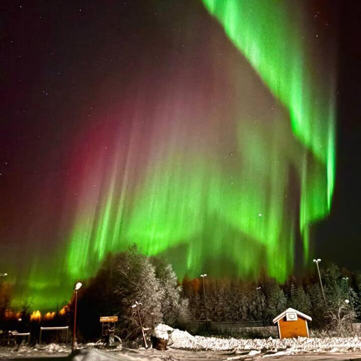 Photo of Others in Rovaniemi