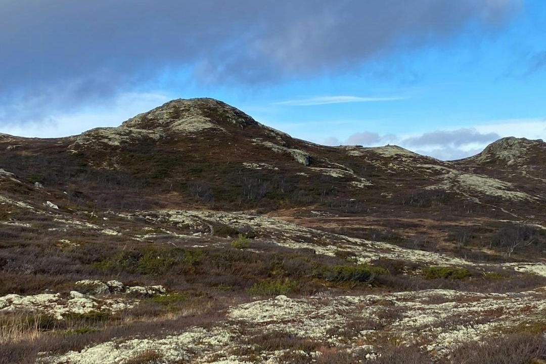 Photo of Others in Uvdal