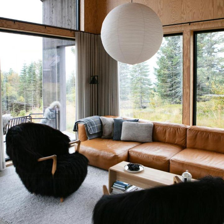 Photo of Livingroom in Sirdal