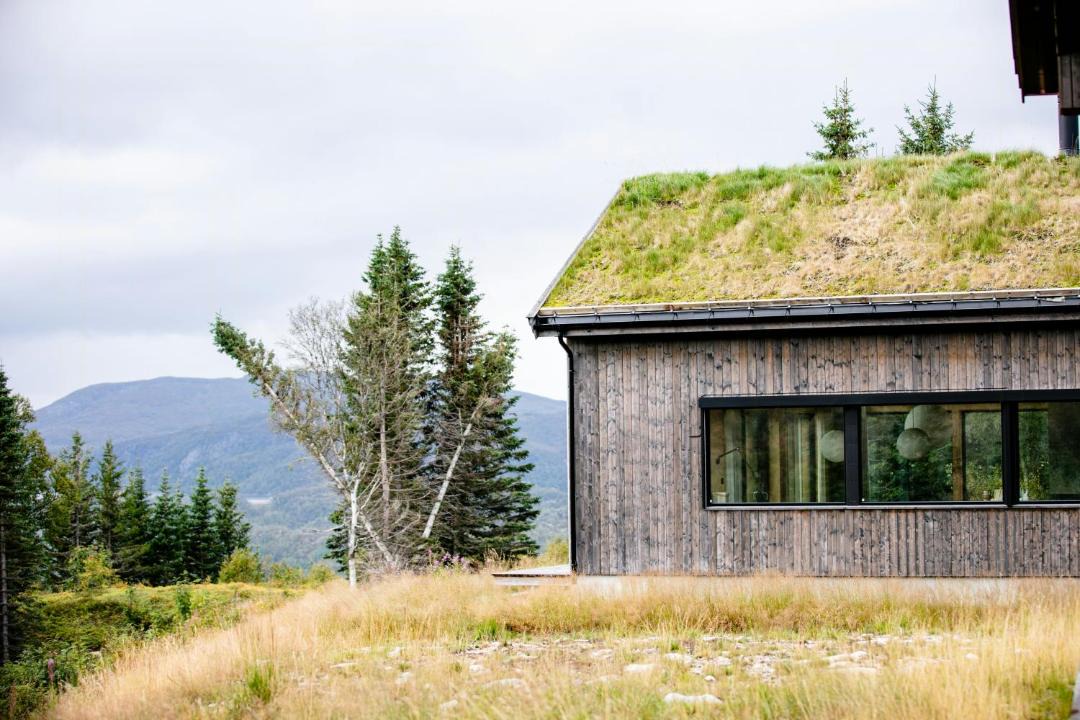 Photo of Others in Sirdal