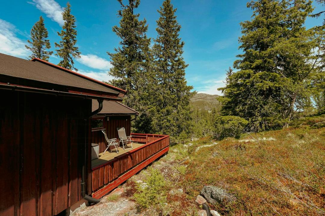 Photo of Others in Vikberget