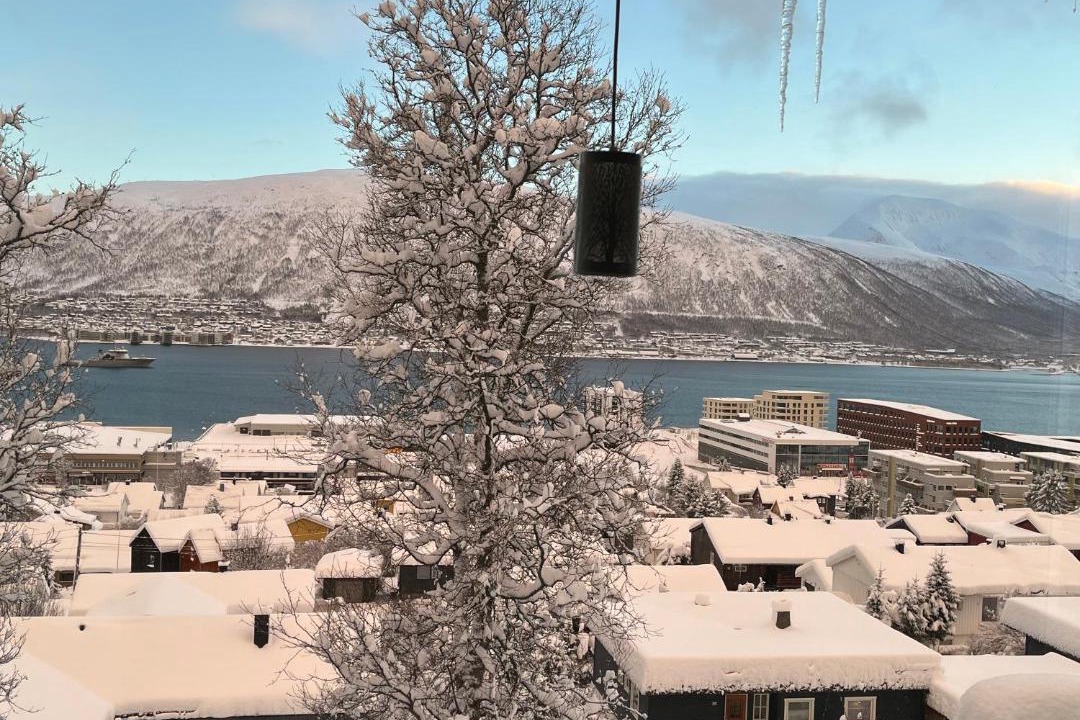 Photo of Others in Tromso
