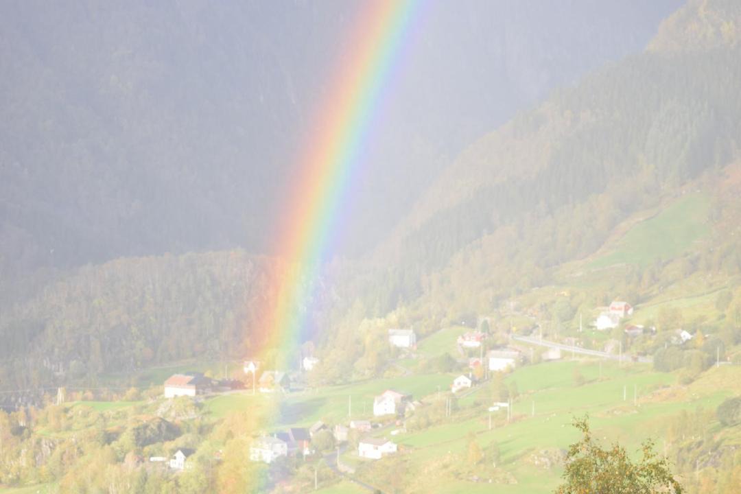 Photo of Others in Brekke