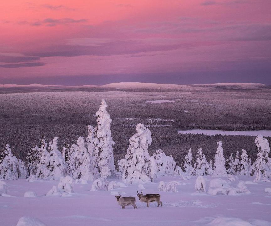 Photo of Others in Rovaniemi