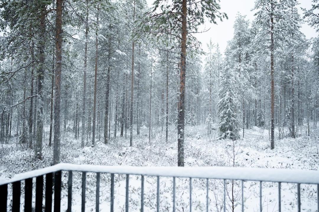 Photo of Others in Rovaniemi