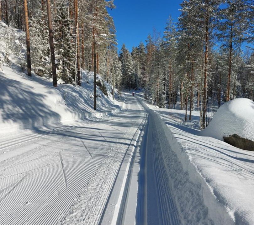 Photo of Others in Koli National Park