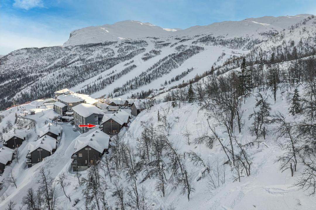 Photo of Others in Hemsedal
