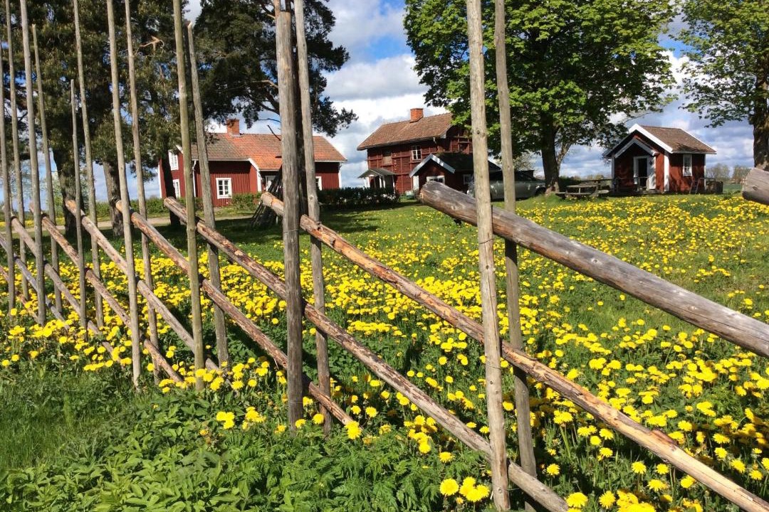 Photo of Others in Kumla