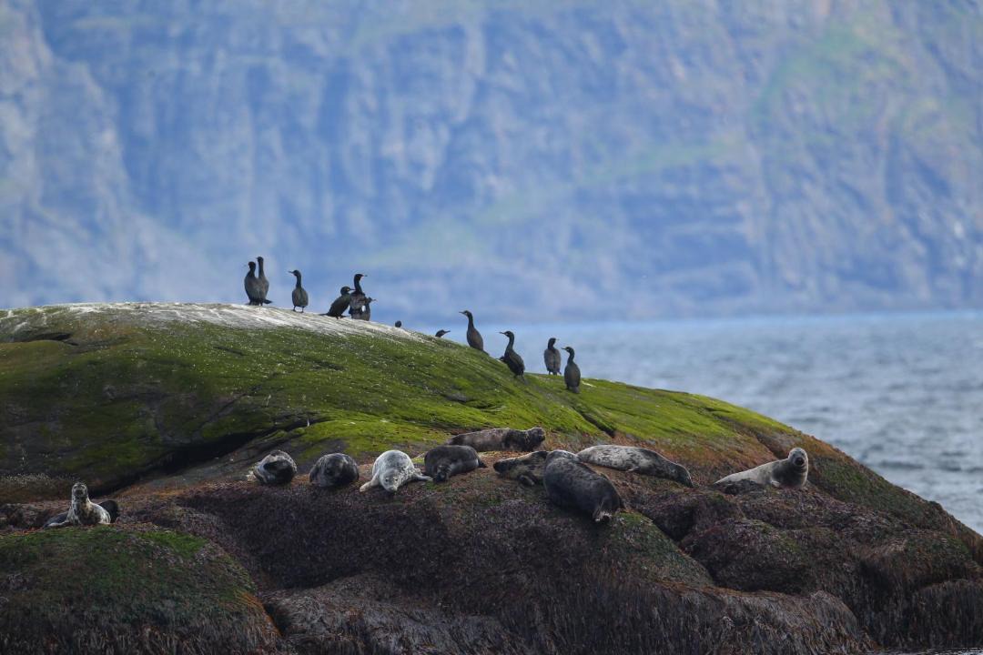 Photo of Others in Gjesvær