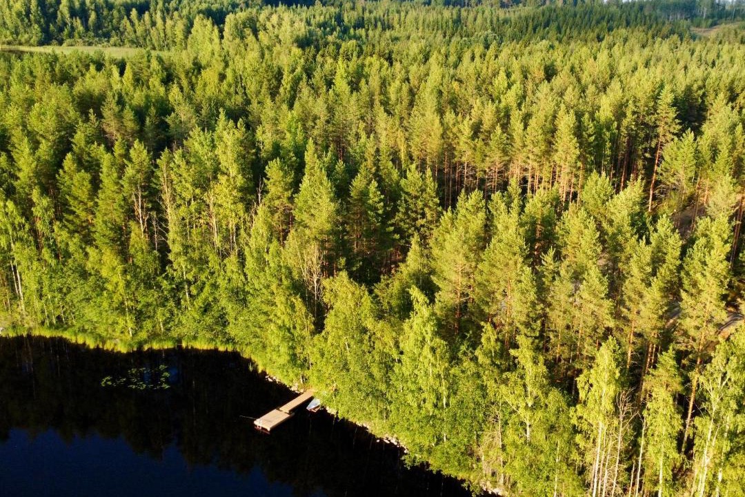 Photo of Others in Savonlinna