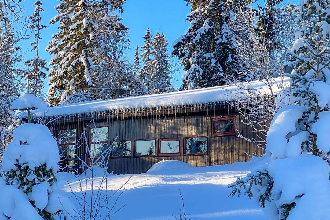 Photo of Others in Trysil