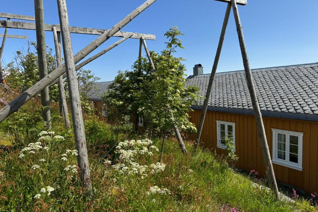 Photo of Others in Hamnøya