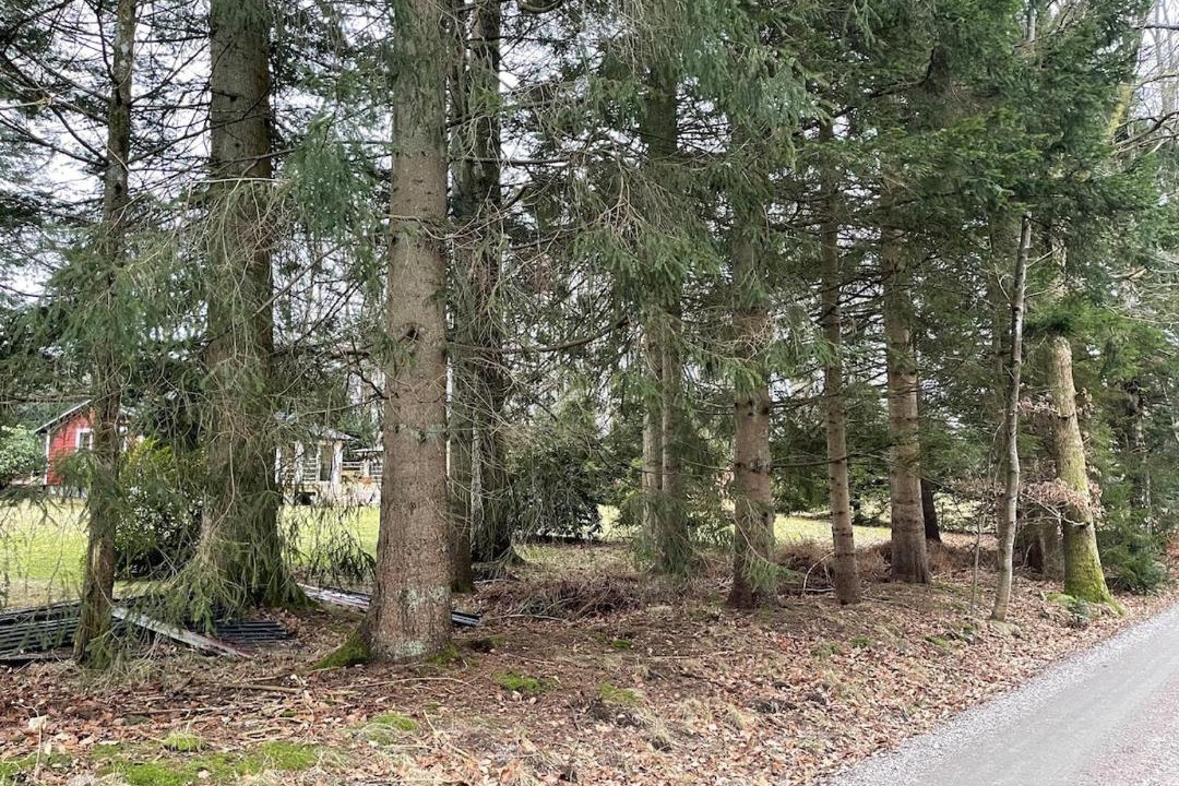 Photo of Others in Munka-Ljungby