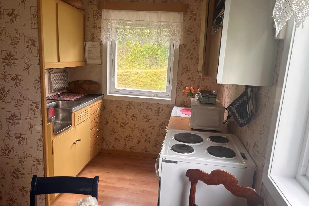 Photo of Kitchen in Snasa