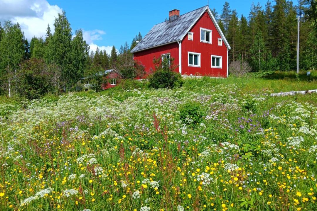 Photo of Others in Overkalix