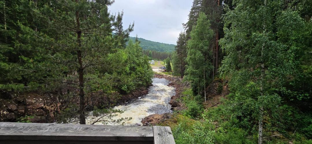 Photo of Others in Torsby O