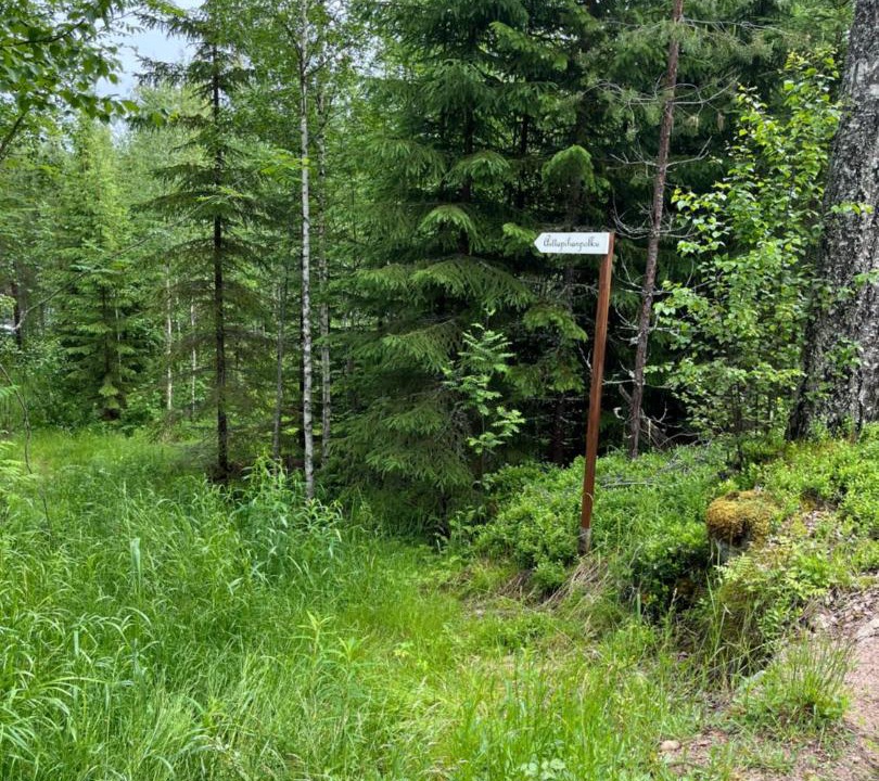 Photo of Others in Saarijarvi