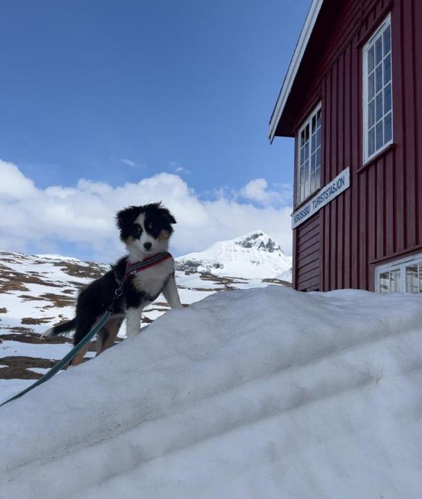 Photo of Others in Boverdalen