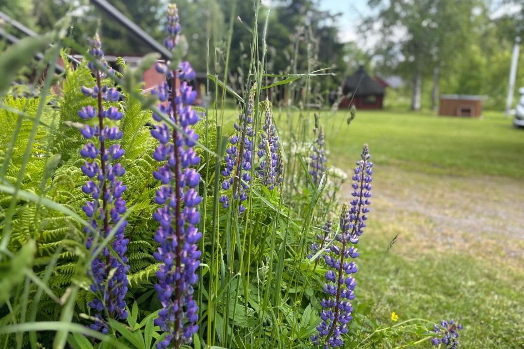 Photo of Others in Filipstad