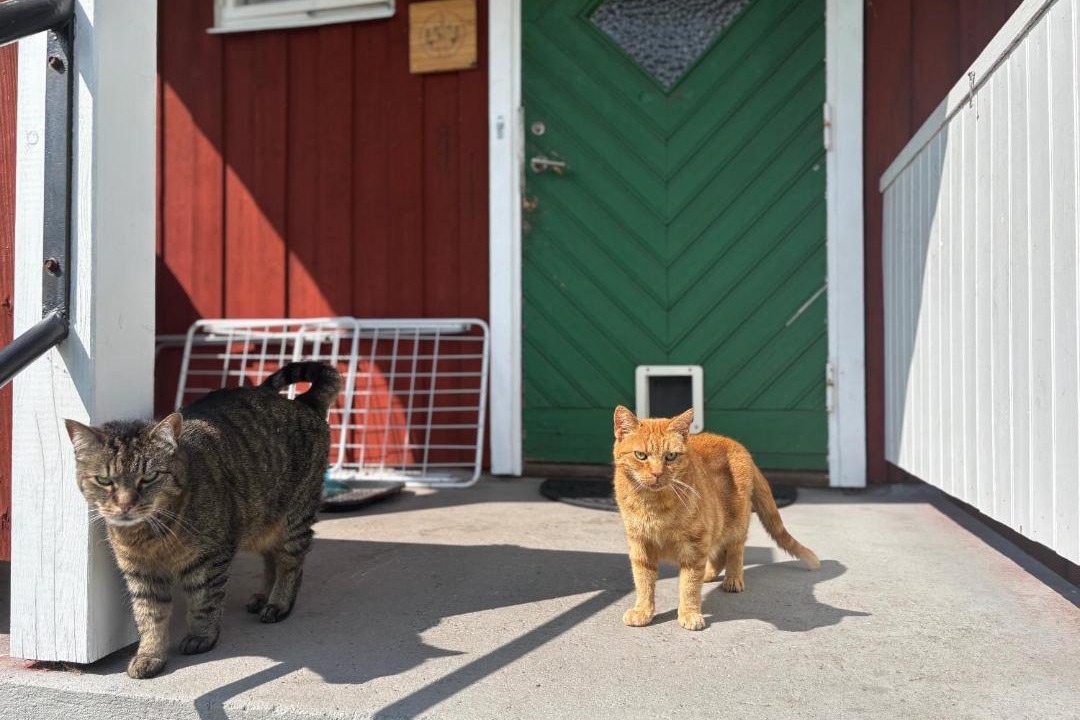 Photo of Others in Filipstad Municipality