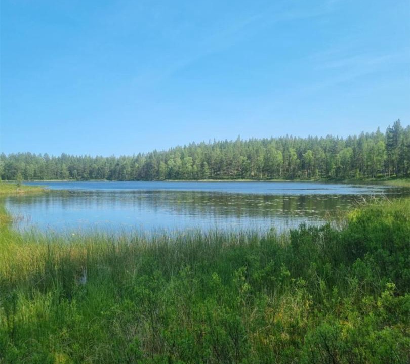 Photo of Others in Morlunda
