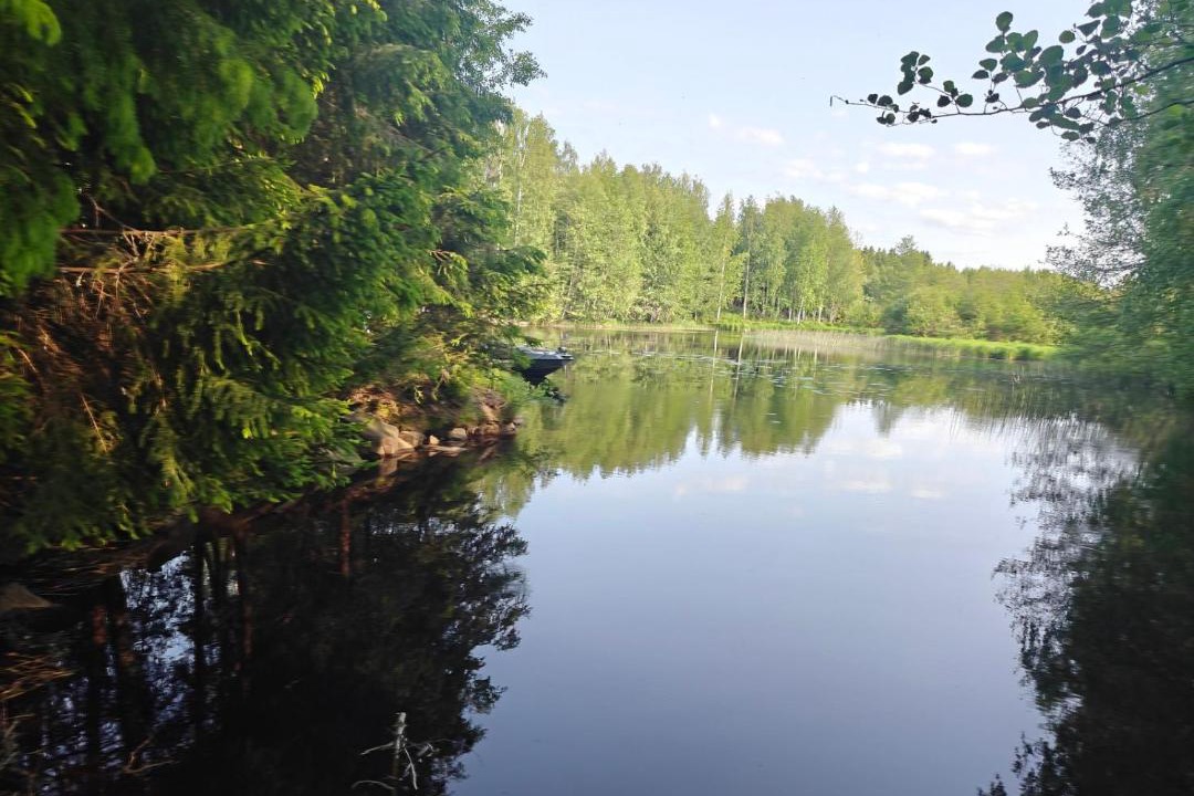 Photo of Others in Merikarvia