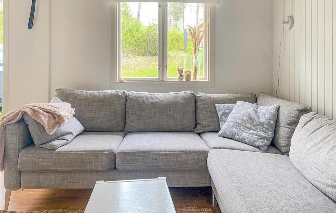 Photo of Livingroom in Monsteras
