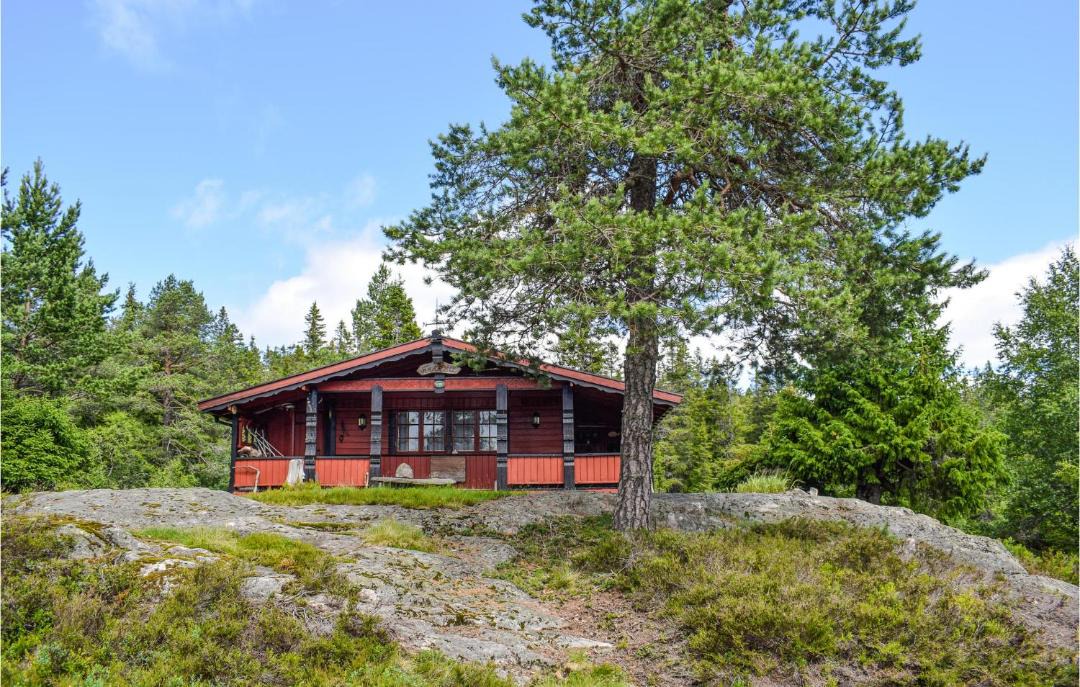 Photo of Others in Nissedal