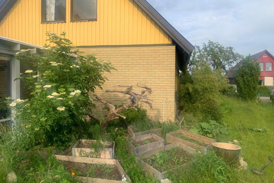 Photo of Others in Staffanstorp Municipality
