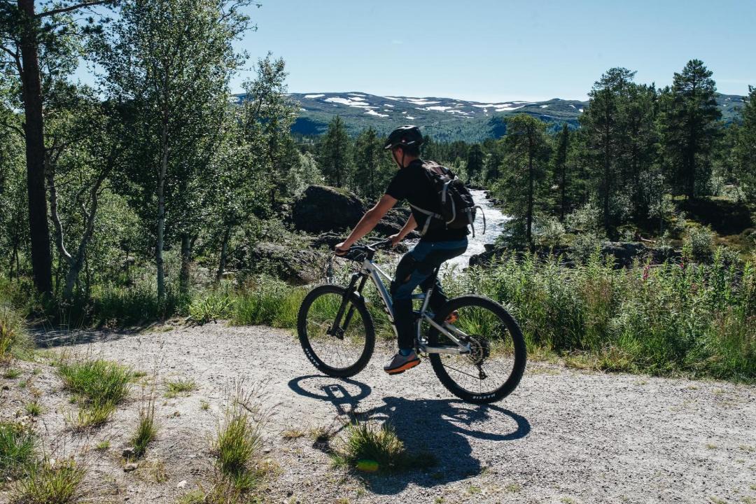 Photo of Others in Hovden