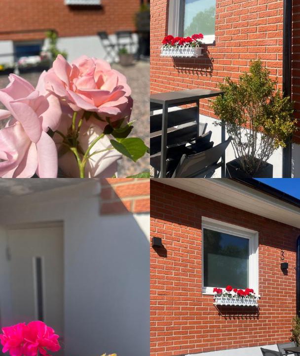 Photo of Others in Vellinge