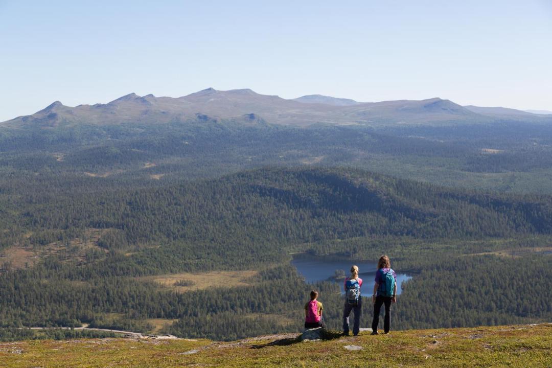 Photo of Others in Funasdalen
