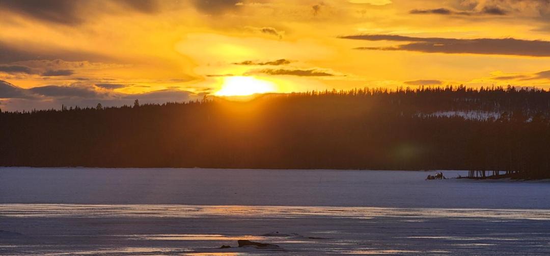 Photo of Others in Arjeplog O