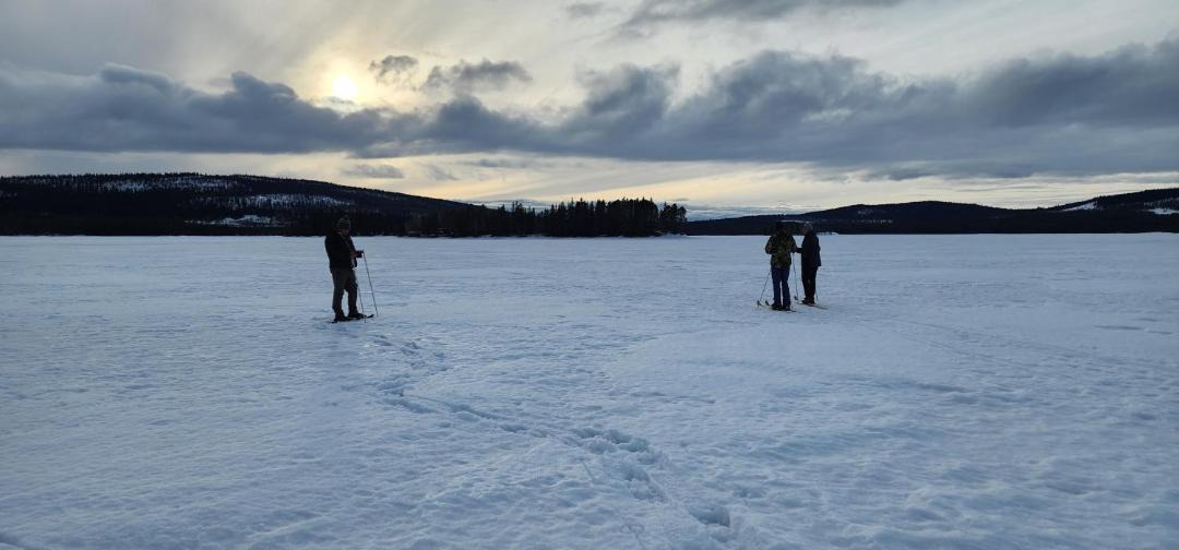 Photo of Others in Arjeplog O