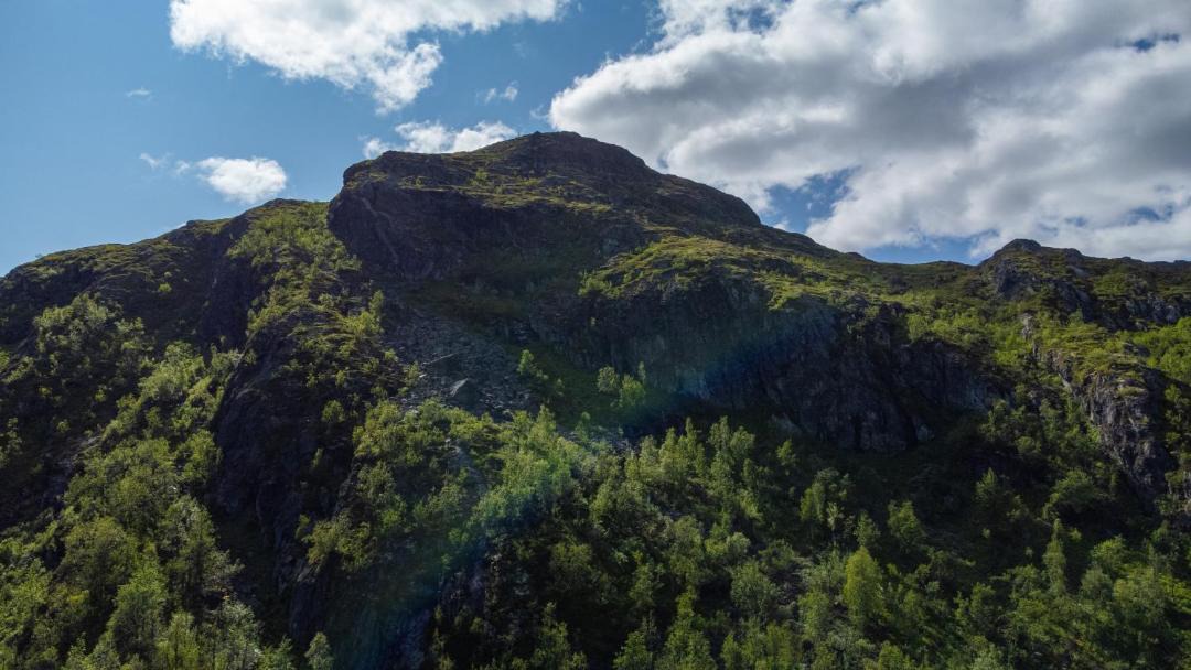 Photo of Others in Hemsedal