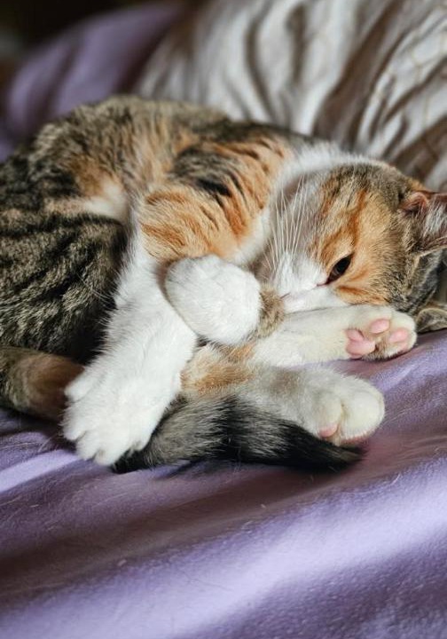 Photo of Others in Sunne