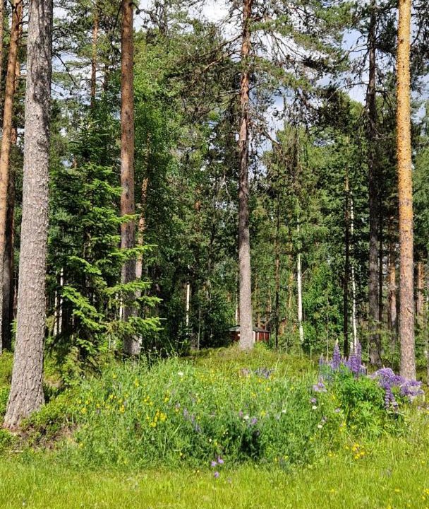 Photo of Others in Sorsjon